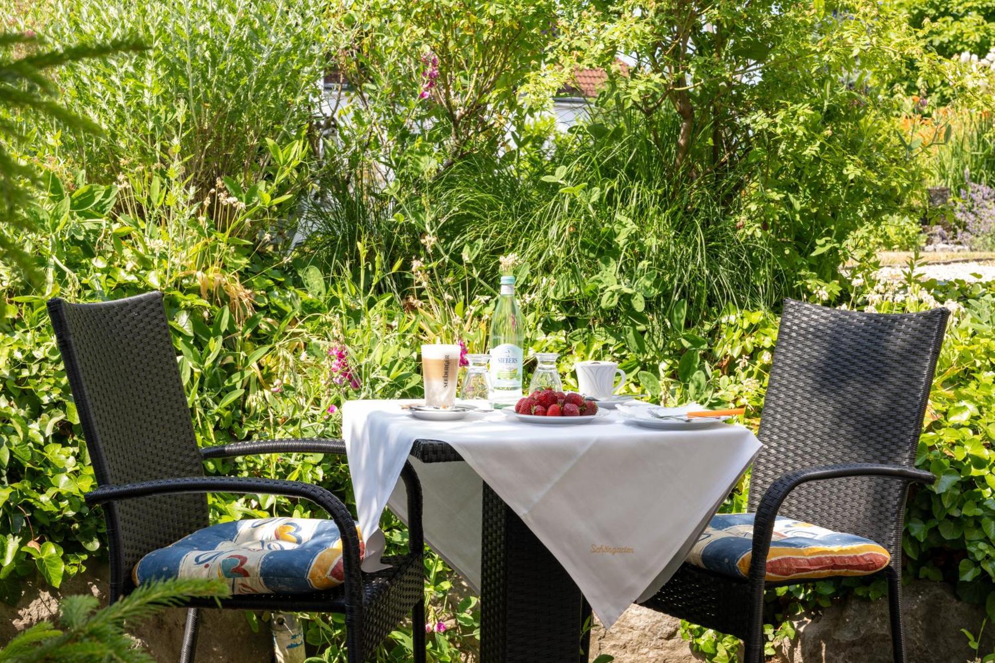 Hotel Schoengarten Garni 3*